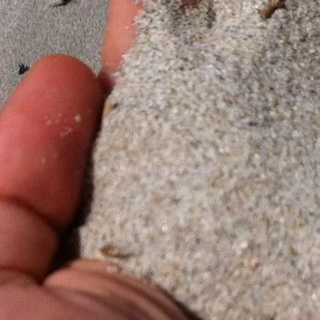 Hébergement de vacances Casa Orchidea La Caletta